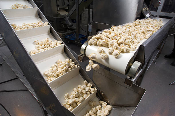 Food industry production line in ravioli workshop.