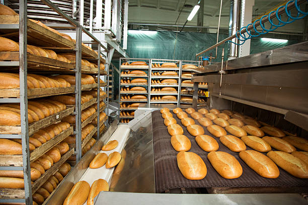 Fresh hot baked bread loafs on the production line