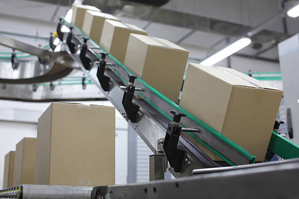 Cardboard boxes on conveyor belt in factory