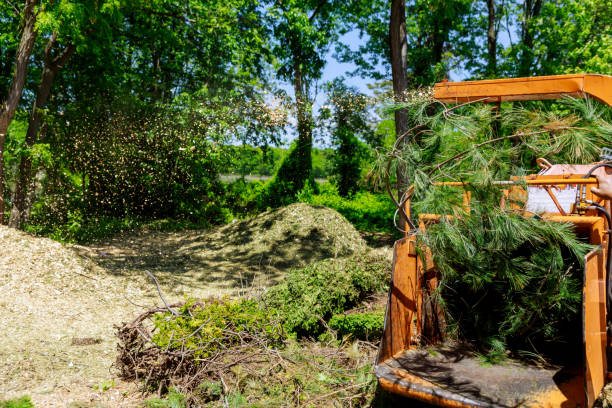 Poplar trunks grinding machine to become chip chipper blowing tree branches cut