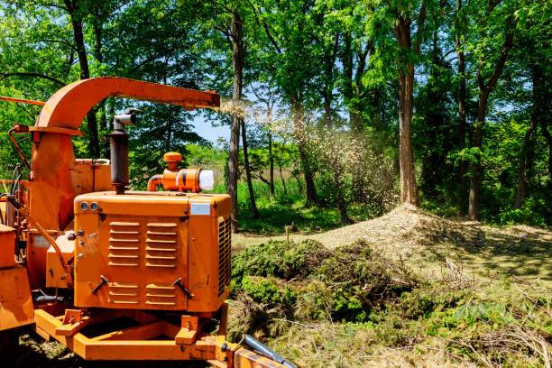 Landscapers using wood Chipper in Action captures a wood chipper or mulcher shooting chips over a fence.