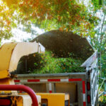 Landscapers using wood chipper in chipper mulcher chips into the back of a truck.