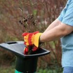 A man chopping branches in the garden.