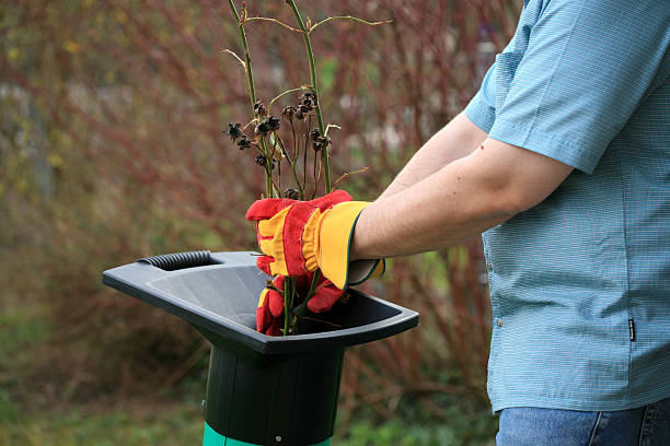 A man chopping branches in the garden.