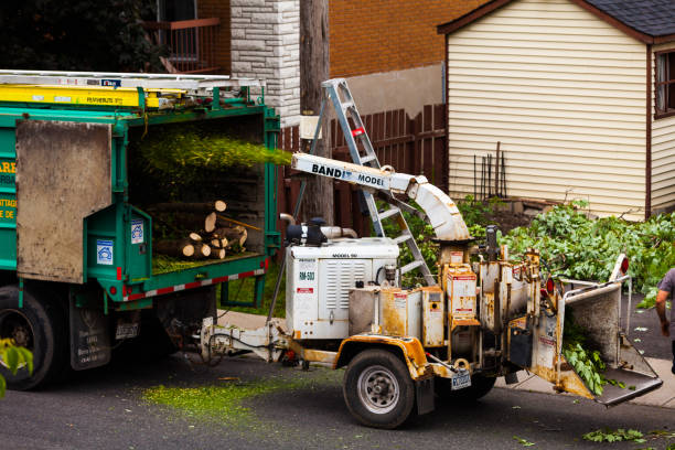 June 11th 2015, Montreal CANADA. Tree Shredder Machine in action and workers pushing Branches into it after cutting the Tree.